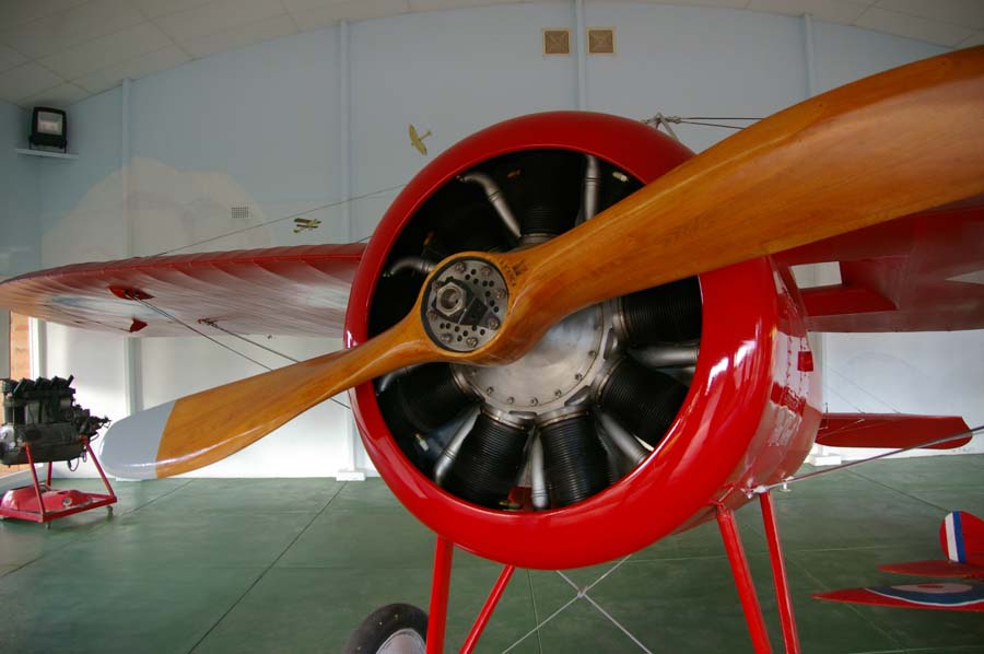 IMGP4309